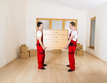 Professional Van service handling belongings